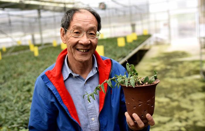 金恒鑣教授 金恒鑣教授